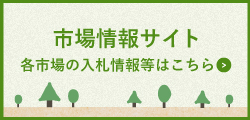 市場情報サイト　各市場の入札情報等はこちら