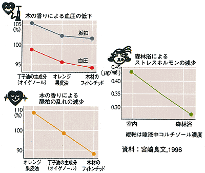 血圧、脈拍、ストレスホルモンへの木の香りの効果