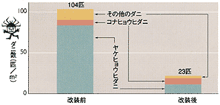 フローリング改装前と改装後のダニ数の変化