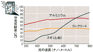 木は目に有害な紫外線をよく吸収する