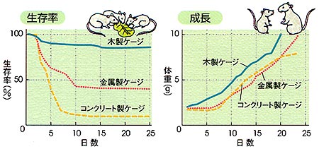 素材の異なるケージでのマウスの生存率と成長