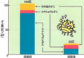 フローリング改装前と改装後のダニ数の変化