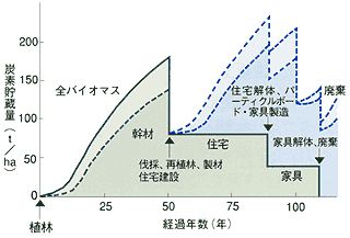 炭素ストックの持続性─ 木の育成と利用の過程における炭素貯蔵量